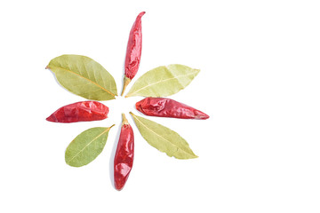 Chili and fragrant leaves on white background