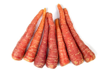 Carrots isolated on white background