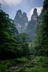 National Park of Zhangjiajie