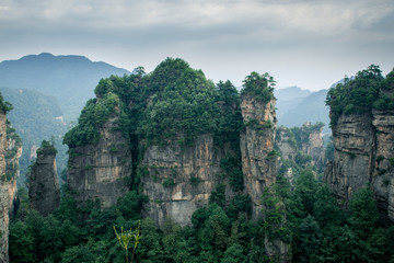 Fototapeta na wymiar National Park of Zhangjiajie
