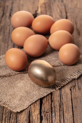 brown and golden chicken eggs