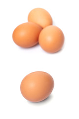 chicken eggs closeup