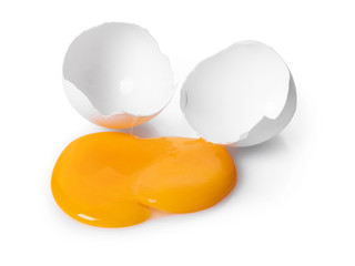 broken chicken egg