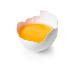broken chicken egg