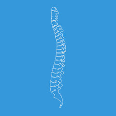Illustration white spine diagnostic symbol or sign design. Dotted outline or line art style vector illustration.