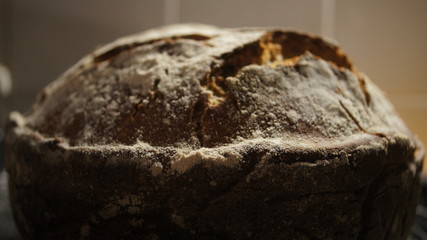 selbstgemachtes Brot,sauerteig, grunge, old,bread, im topf, homemade bread, bread homemade, brot aus dem topf, bread,, kruste, bauernbrot mit kruste, bauernbrot selfmade