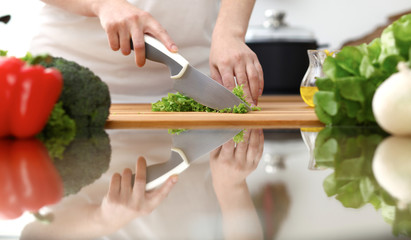 Closeup of human hands cooking in kitchen. Mother and daughter or two female friends cutting vegetables for fresh salad. Friendship, family dinner and lifestyle concepts