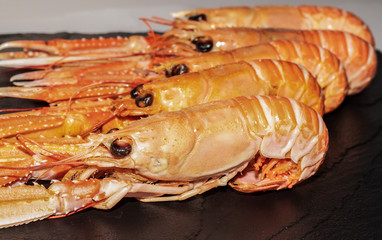 cooked Norway lobsters on black slate