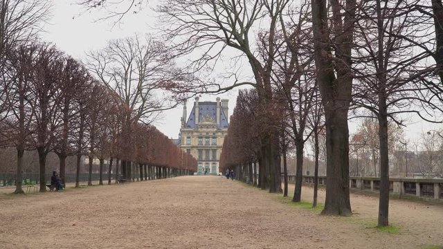 Alley in Tuileries Garden
