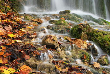 Fallen leaves and mossy stones at a waterfall