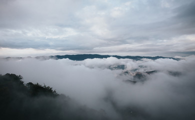 Morning fog, white sky, blue sky