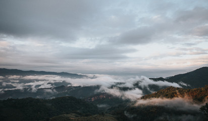 Morning fog, white sky, blue sky