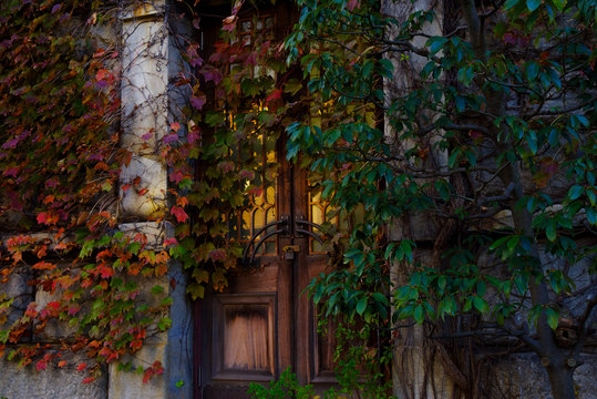 Door of the Library