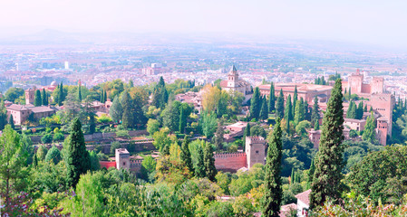 Forests of the Spanish city of Granada with views of the city