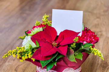 Christmas Flowers Box with Poinsettia or Christmas star and Empty  Greeting Card on a Wooden Background