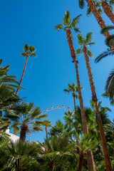Obraz na płótnie Canvas Bottom view to palms and hotel building against blue sky.