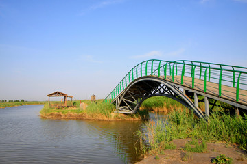Fototapeta na wymiar Green iron bridge railings