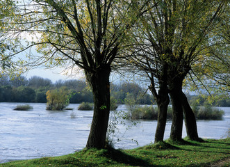 Wisla river near Annopol, Jozefow and Basonia, lubelskie region, Poland