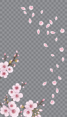Obraz premium Rose on transparent background. Flying sakura flowers. The idea of textile design, wallpaper, packaging, printing, story. Handmade background in the Japanese style.