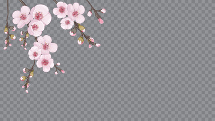 Pink on transparent background. Handmade background in oriental style. Theme design textiles, wallpaper, packaging, printing. Festive frame of sakura flowers.