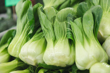 close up small choy sum with water on them a chinese vegetable - obrazy, fototapety, plakaty