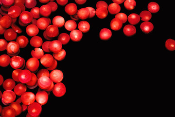 Natural red coral flat beads as red blood cells isolated on a black background