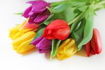 Bouquet of fresh multicolor tulips close-up.