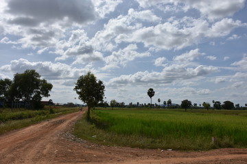 カンボジアの農村風景