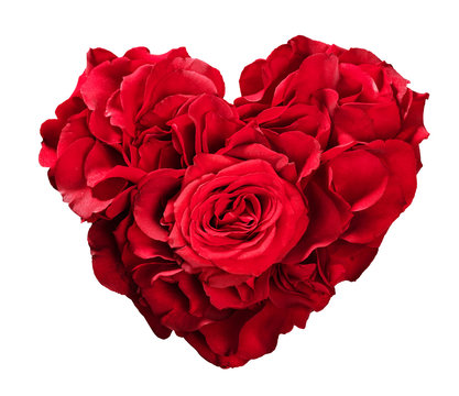 Red roses in heart shape isolated on white.