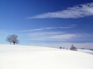 suwalski landscape park, Poland