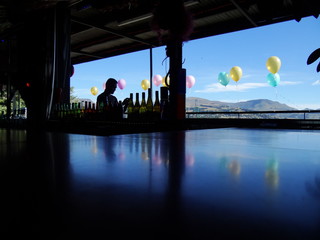 Fototapeta na wymiar Balloons over harbour