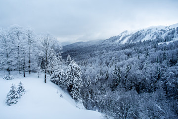 Fototapeta na wymiar Panorama of the foggy winter landscape in the mountains. - Image