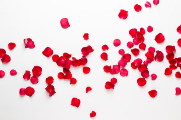 Valentine's Day. Rose flowers petals on white background. Valentines day background. Flat lay, top...