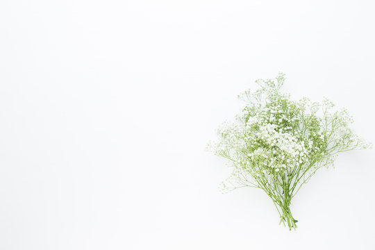 Fototapeta Flowers composition. Gypsophila flowers on pastel pink background. Flat lay, top view, copy space