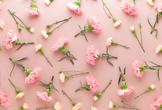 Fototapeta Pink carnation flowers on pastel background. Flat lay, top view, copy space.