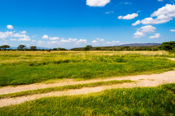 View of the trails and savannah of Samburu Park