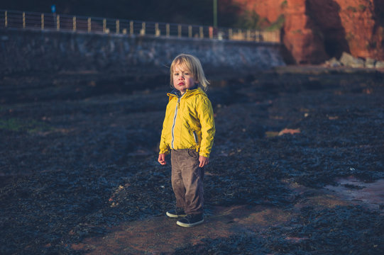 Little toddler on the beach at sunset in winter