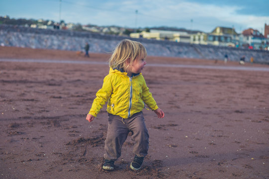 Little toddler walking on the beach in winter