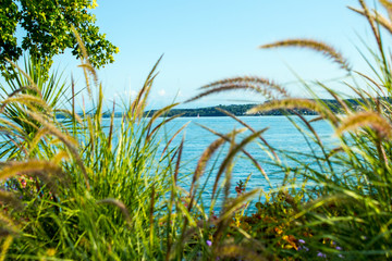 Sunny day at the Bodensee shore
