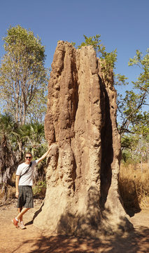 Magnetic Termite Mounds in Litchfield National Park, Australia.