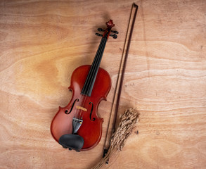 Fototapeta na wymiar The classic violin and bow put beside dried flower, wooden boar..