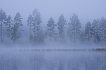 Fototapeta na wymiar Foggy lake landscape in Finland at summer dawn
