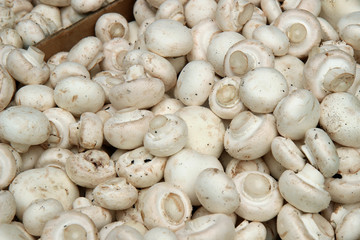 Mushrooms . Organic produce on display at the Farmers Market