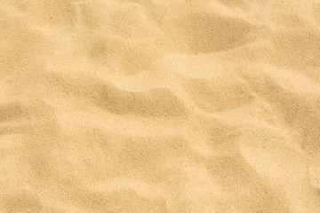 Fototapeta na wymiar The beach sand texture full frame background