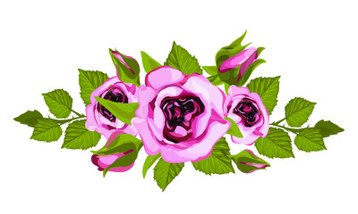 Tropical vector flowers and roses