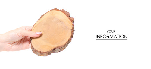 Cutting a tree in hand pattern on a white background Isolation