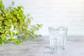 glass of cold water on table with green leaves background.