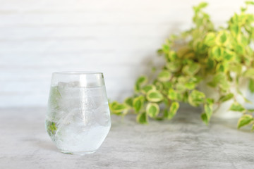 glass of cold water on table with green leaves background.