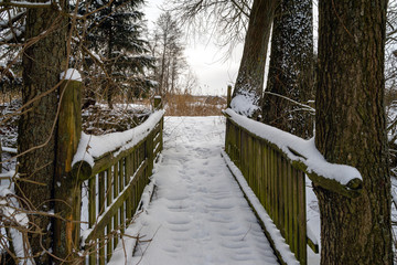 Zima w Narwiańskim Parku Narodowym © podlaski49