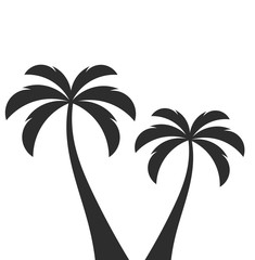 Two palm trees.